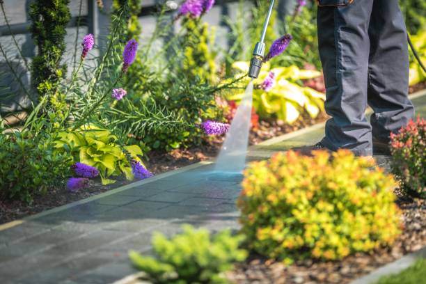 Best Gutter Cleaning  in Childress, TX